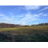 Cod40127 Agrícola En Venta En Cunco 15 Ha. Con Vertiente