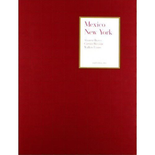 Mexico - New York, De Mercedes Iturbe. Editorial Arquine + Rm, Edición 2003 En Inglés