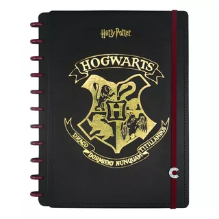 Caderno Inteligente Harry Potter Ci Tamanho Grande 80 Folhas