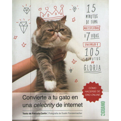 Convierte A Tu Gato En Una Celebrity De Internet, De Carlin, Patricia. Editorial Oceano, Tapa Blanda En Español, 2015