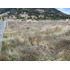 Terreno Parcelacion Don Octavio - Santa Cru (66325)