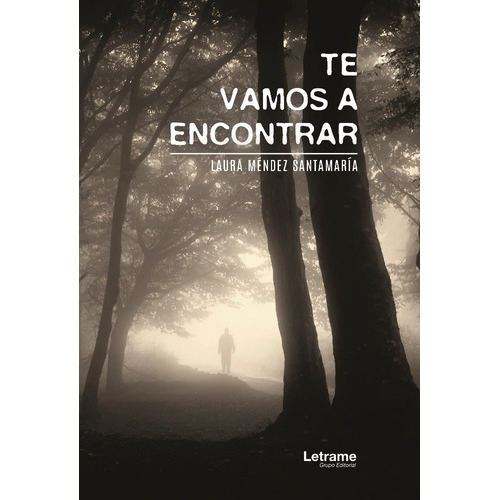 Te vamos a encontrar, de Méndez Santamaría, Laura. Editorial Letrame S.L., tapa blanda en español