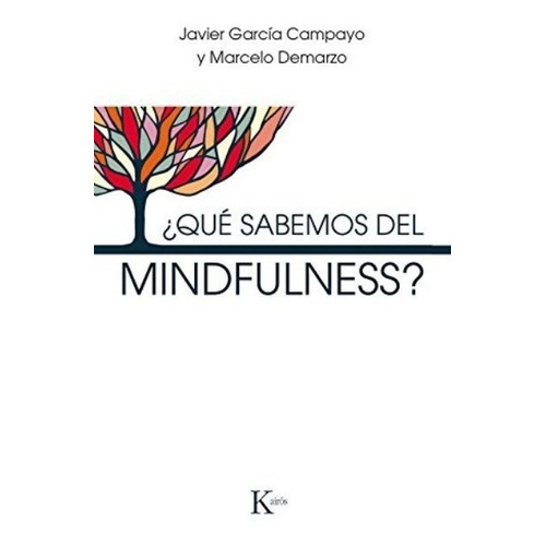 Que Sabemos De Mindfulness? - García Campayo, Demarzo