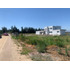 Vendo Parcelas De 5000 M2 En El Mejor Sector De Talagante