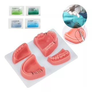 Kit De Práctica De Sutura Dental Modelos Con Suturas 4pz