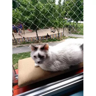 Malla Para Mascotas, Gatos , Protección Ventanas