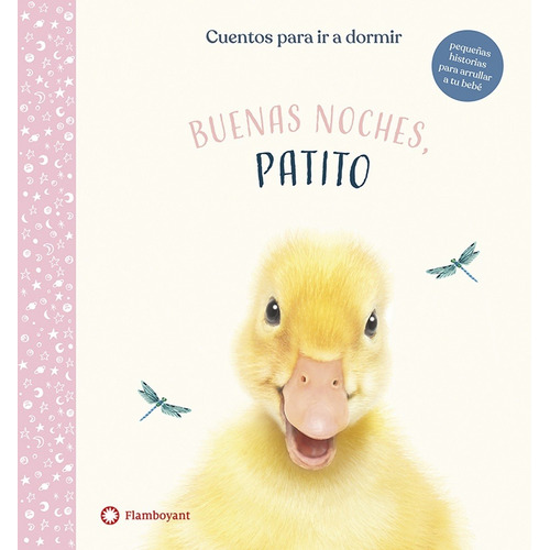 Buenas Noches, Patito - Rachel Williams