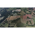 Parcela Frutillar 5.000m2 Praderas Del Pedernal, D6. 