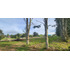 Venta Parcela Robles De Pilauco Osorno (127903)