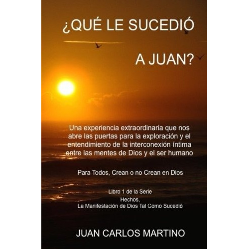 Libro : Que Le Sucedio A Juan?: Una Experiencia Extraordi...