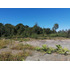 Venta De Parcela Cerca San Javier Pelluco Alto