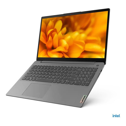 Laptop  Lenovo IdeaPad 82H80358US  arctic gray 15.6", Intel Core i3 1115G4  8GB de RAM 256GB SSD, Intel Iris Xe Graphics G7 96EUs 1920x1080px Windows 10 Home