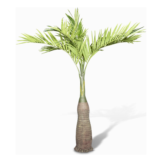 Palmera Amarilla 290 Cm Ambiente Living