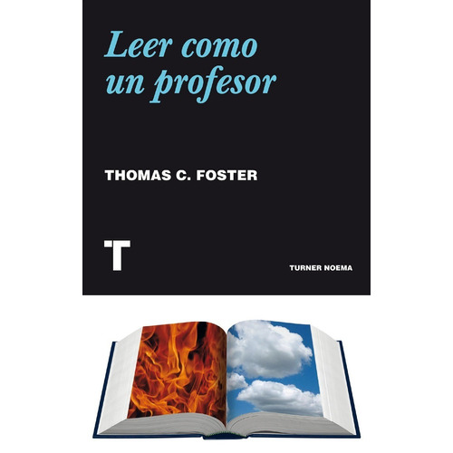 Leer Como Un Profesor - Foster Thomas C.