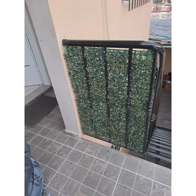 Foto del comprador