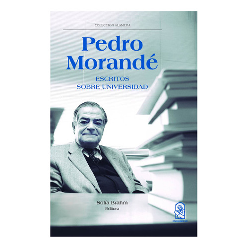 Pedro Morandé - Reduch, De Brahm , Sofía.. Editorial Ediciones Uc, Tapa Blanda En Español