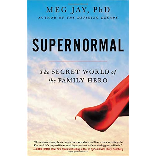 Book : Supernormal The Secret World Of The Family Hero -...