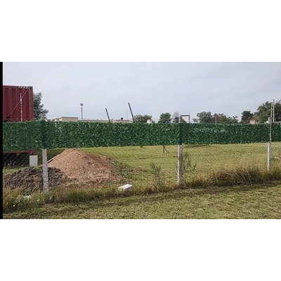 Foto del comprador