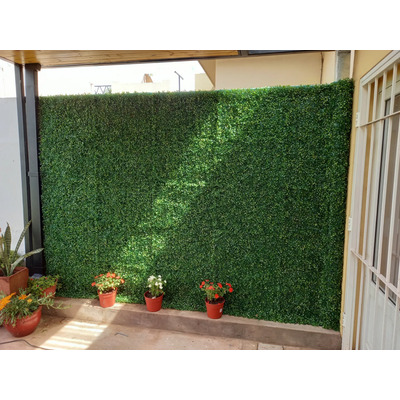 Foto del comprador