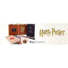  Set Baúl Hogwarts  Harry Potter Coleccionable