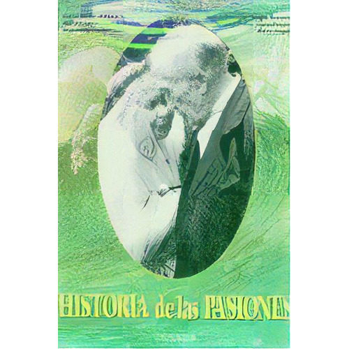 Historia De Las Pasiones, De Aa.vv. Editorial Losada En Español