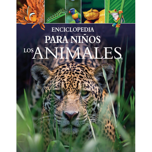 Enciclopedia Para Niños: Los Animales, de Leach, Michael. Serie Enciclopedia Para Niños: Los Dinosaurios Editorial Silver Dolphin (en español), tapa dura en español, 2020