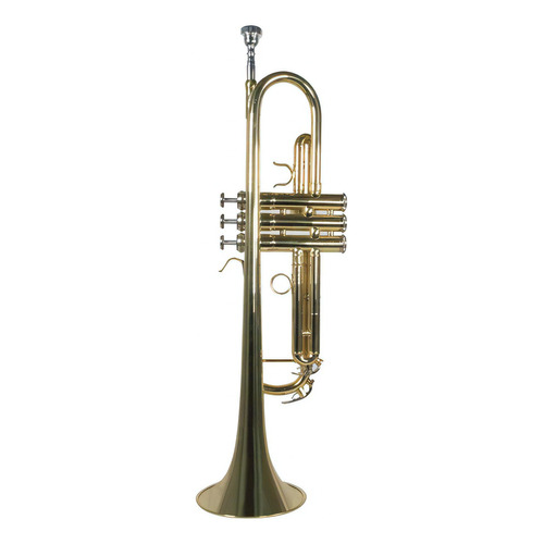 Trompeta Con Tonalidad Bb Laqueado Dorado Wesner Str1000-g
