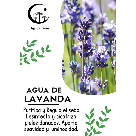 Agua De Lavanda (hidrolato) 100% Natural