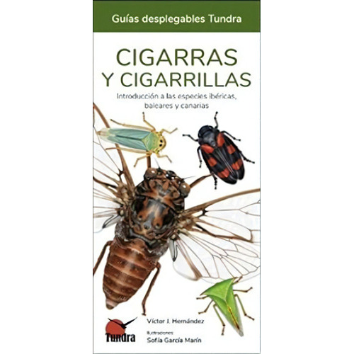 Cigarras Y Cigarrillas - Guias Desplegables Tundra, De Victor J. Hernandez. Editorial Tundra, Tapa Blanda En Español, 2022