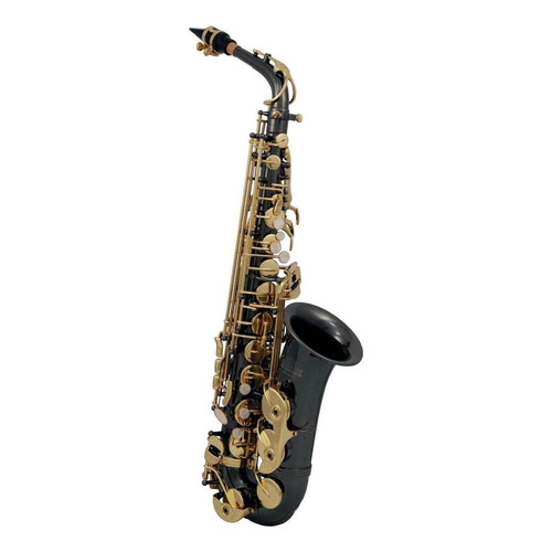 Saxofon Alto Roy Benson Antracita As-202k