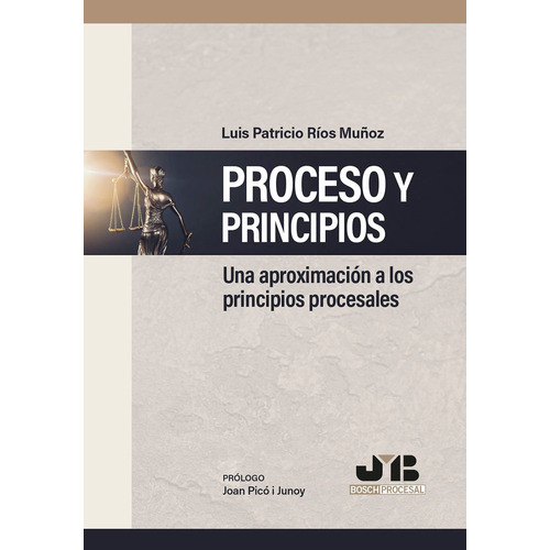 Proceso Y Principios, De Luis Patricio Ríos Muñoz