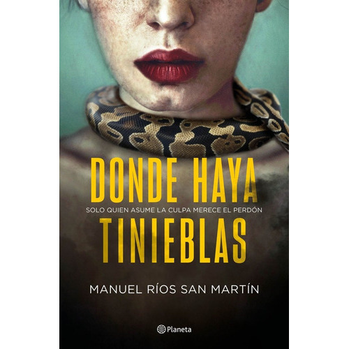 DONDE HAYA TINIEBLAS, de Manuel Ríos San Martín. Editorial Planeta S.A, tapa dura en español