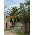 Oportunidad En El Monte Parcela Con Potencial Comercial