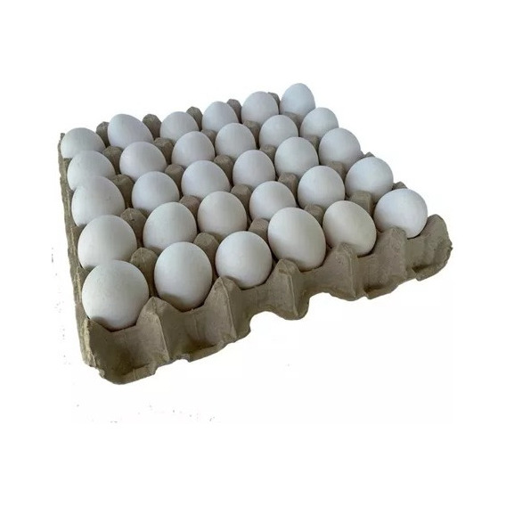 Huevos Bandeja De 30unidades 
