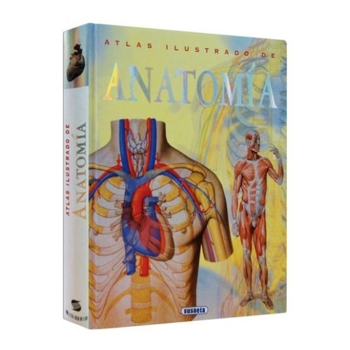 Atlas Ilustrado de Anatomia, de Rigutti, Adriana. Editorial Susaeta, tapa dura en español