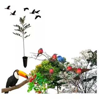 Árvores Que Atraem Pássaros - Mudas Prontas Para O Plantio