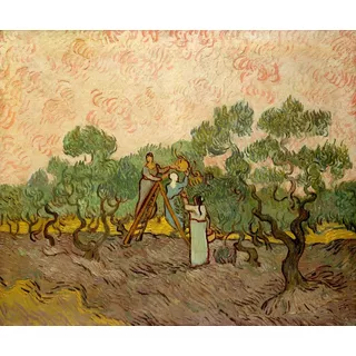 Mulheres Colhendo Azeitonas 1889 De Van Gogh Em Tela 51 X 42
