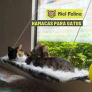 Camas Para Gatos, Hamacas De Ventana Para Gatos Miel Felina