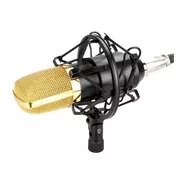Micrófono Fifine F-800 Condensador  Cardioide Negro/dorado