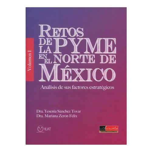Retos De La Pyme En El Norte De Mexico. Analisis De Sus Factores Estrategicos / Vol. 1, De Sanchez Tovar, Yesenia. Editorial Colofon En Español