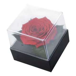 Rosa Encantada Preservada Vermelha Presente Caixa Acrilica