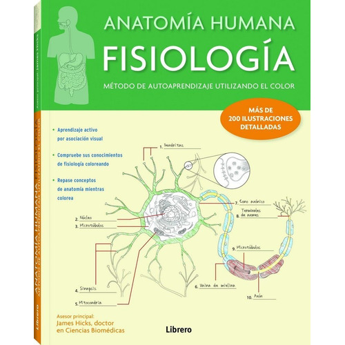 Anatomia Humana Fisiologia: Metodo De Autoaprendizaje Util