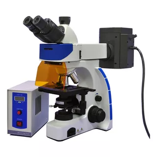 Microscópio Trinocular Epi-fluorescência Campo Claro 1000x