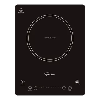 Cooktop 1 Boca Fischer 1q Induo Preto 127v 110v