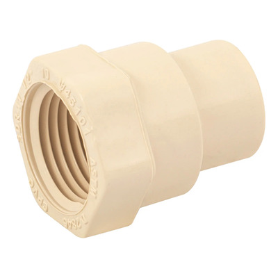 Conector Hembra Cpvc 3/4  - Paquete De 12 Piezas, Durable