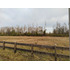 Parcela En Venta 5000 Mtrs, Villarrica, Sector Chucauco