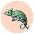 REPTILES Y ANFIBIOS