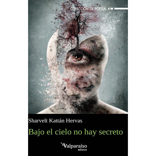 Bajo el cielo no hay secreto, de Kattán Hervas, Sharvelt. Editorial Círculo de Poesía en español, 2017