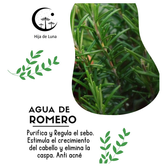 Agua/hidrolato De Romero 120ml Piel Grasa/acné/caída De Pelo