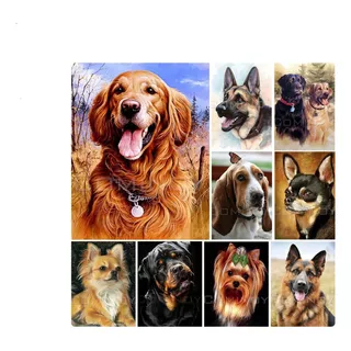 Pintura Diamante 5d Pet Dog  Mosaico Magico A Pronta Entrega